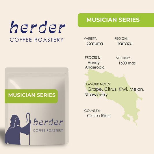 Musician Series Costa Rica