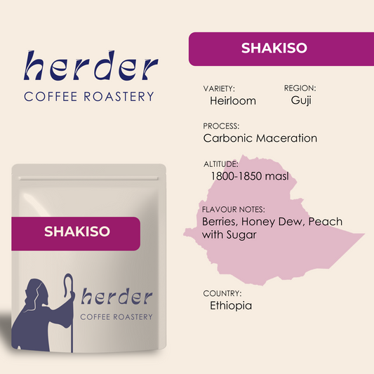 Shakiso Guji Ethiopia