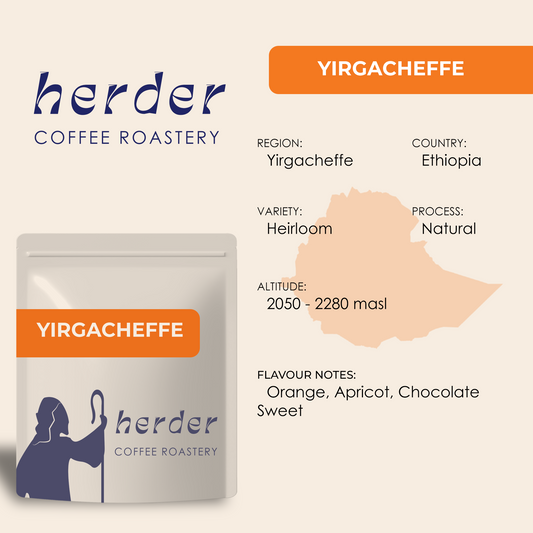 Yirgacheffe Ethiopia